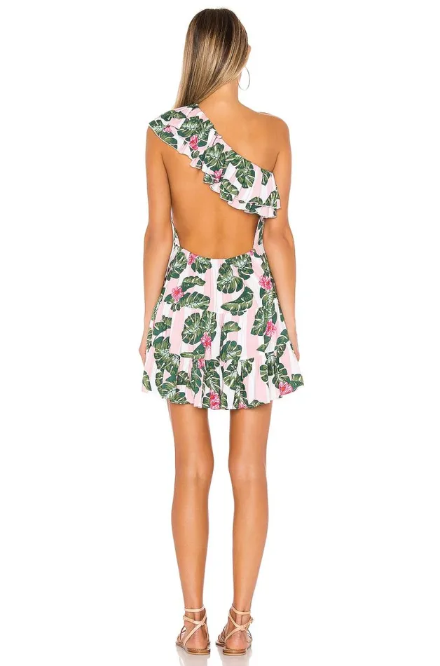 Amity Mini Dress Pink Palm Stripe Women Lovers and Friends Dresses