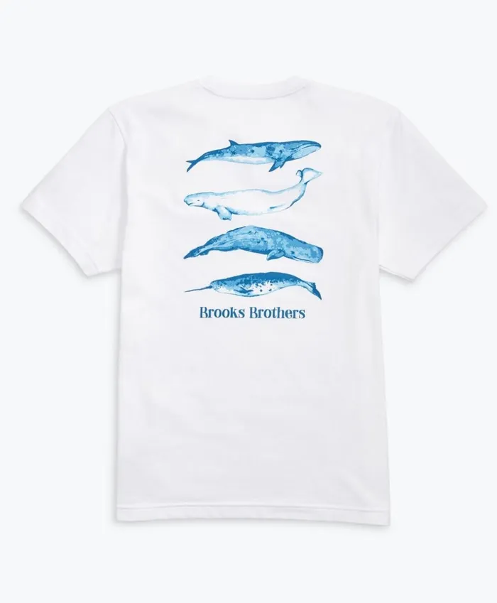 Brooks Brothers Polos and TShirts WhalePrint Cotton Jersey TShirt White 8211 Men Brooks Brothers Polos and TShirts WhalePrint Cotton Jersey TShirt White 8211 Men