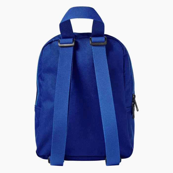 Dickies Backpacks and Bags Mini Backpack Surf Blue Surf Blue fl 8211 Men