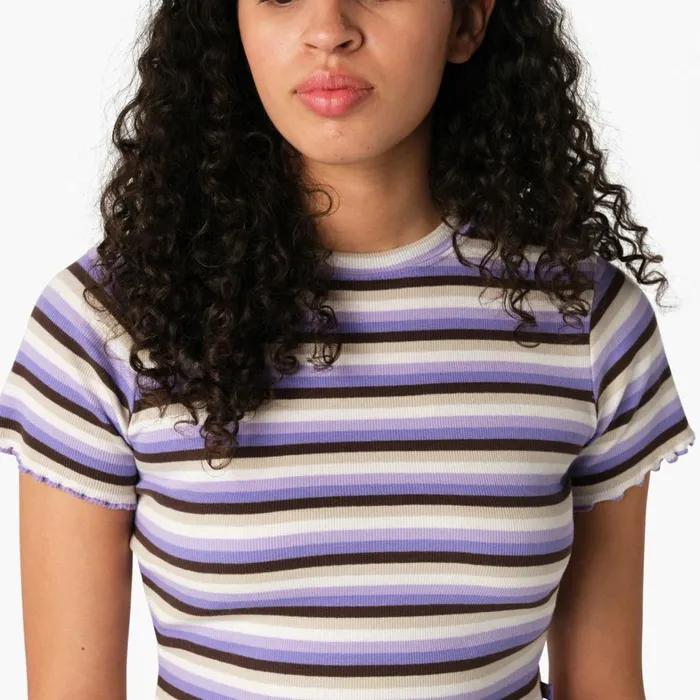 Dickies Cropped Tops Women039s Striped Cropped Baby TShirt Purple Rose Explorer Stripe Purple Rose Explorer Stripe pxs 8211 Women