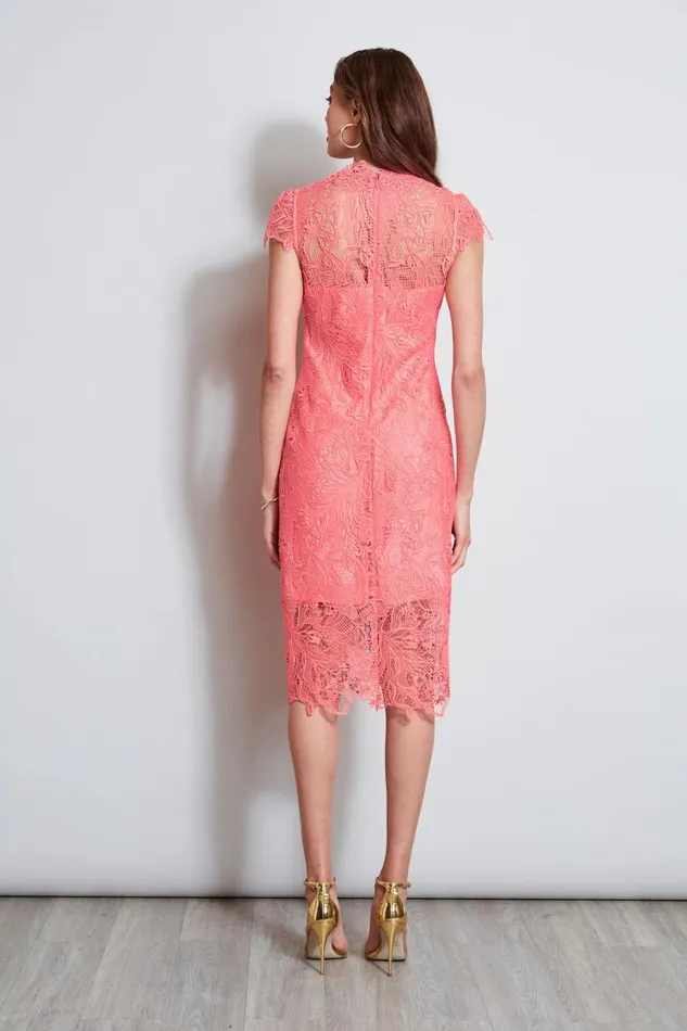 Elie Tahari Dresses and Jumpsuits Lace Applique Midi Dress Petal 8211 Women
