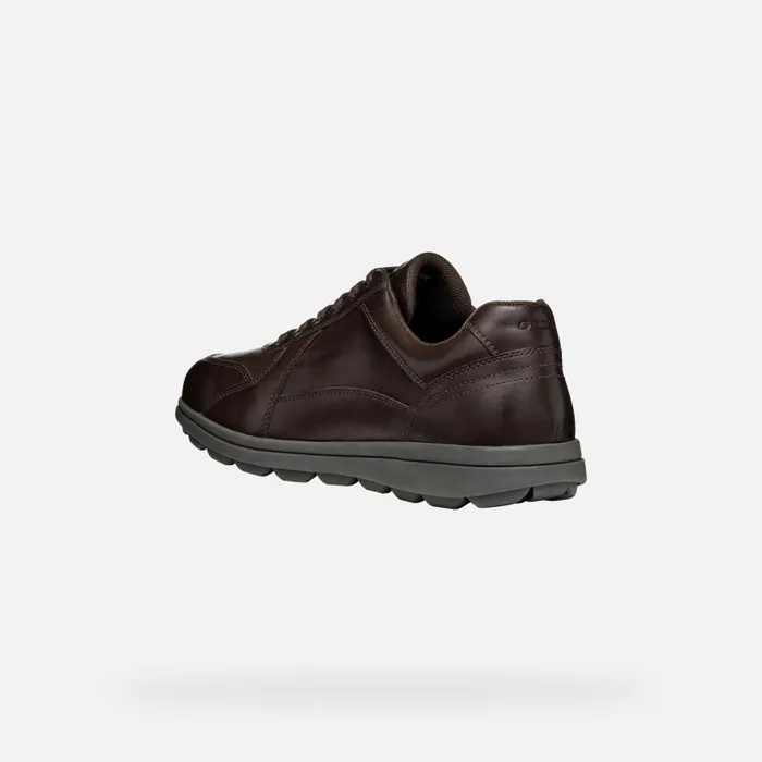 Geox Casual Shoes SPHERICA EC12 Men039s Coffee Leather Sneakers Geox Coffee 8211 Man