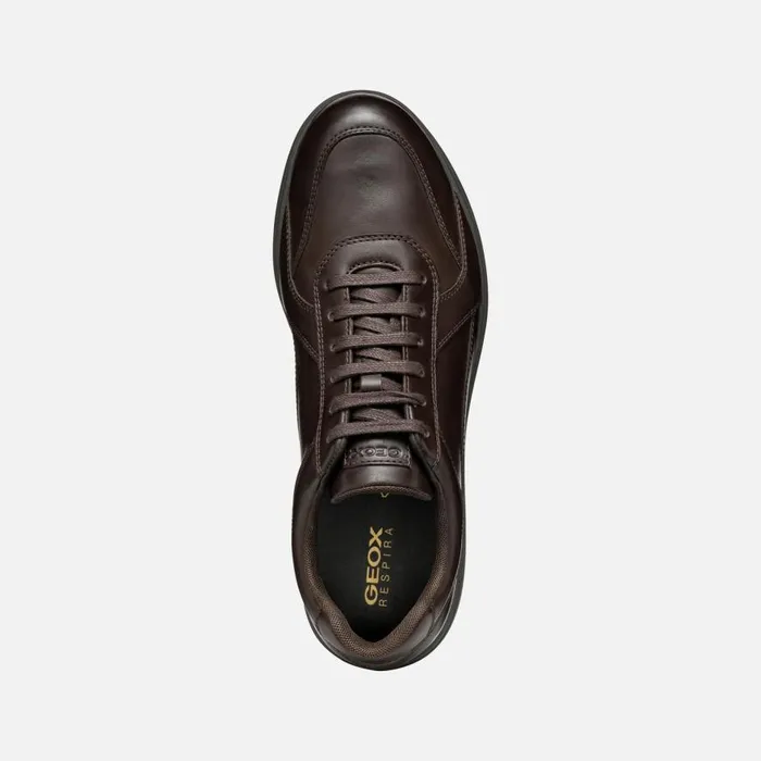 Geox Casual Shoes SPHERICA EC12 Men039s Coffee Leather Sneakers Geox Coffee 8211 Man