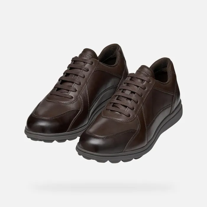 Geox Casual Shoes SPHERICA EC12 Men039s Coffee Leather Sneakers Geox Coffee 8211 Man