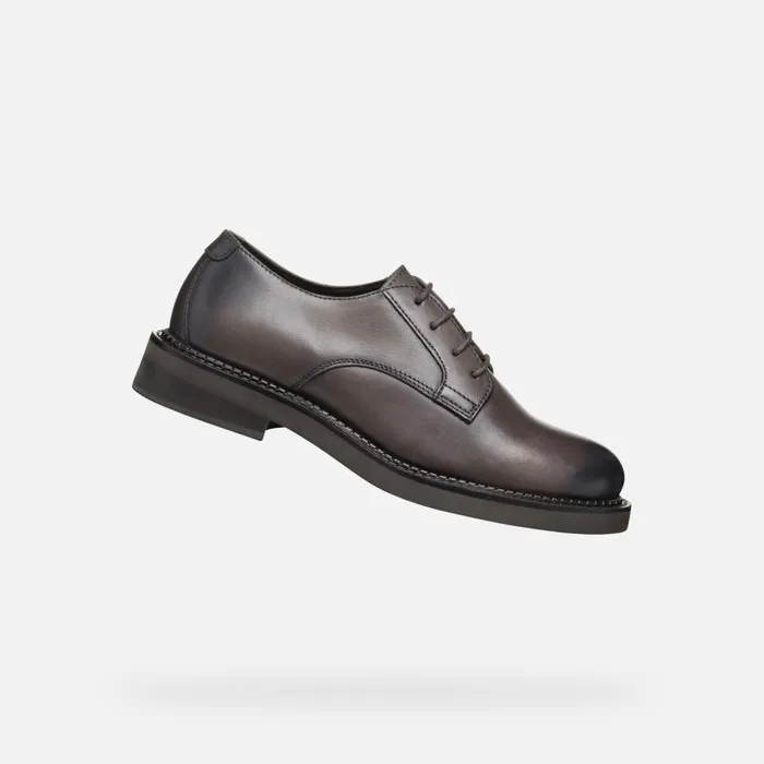 Geox Lace Ups And Brogues SERILDA WOMAN Taupe Laceup Shoes Taupe 8211 Woman