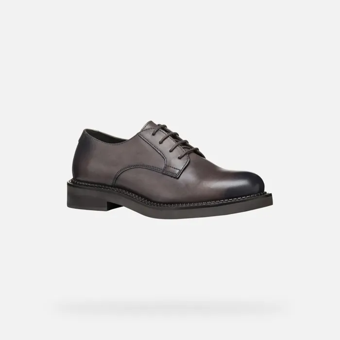 Geox Lace Ups And Brogues SERILDA WOMAN Taupe Laceup Shoes Taupe 8211 Woman