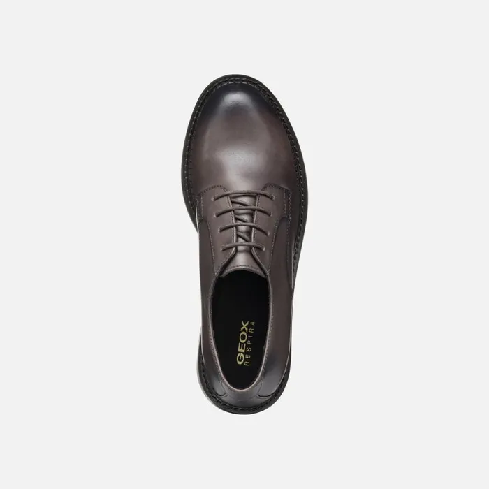 Geox Lace Ups And Brogues SERILDA WOMAN Taupe Laceup Shoes Taupe 8211 Woman