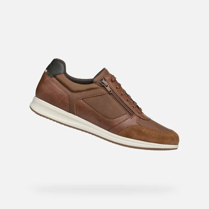 Geox Sneakers AVERY MAN Brown Cotto Low Top Sneakers Brown Cotto 8211 Man