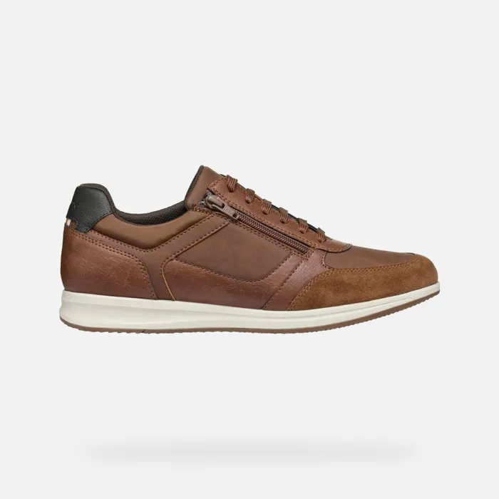 Geox Sneakers AVERY MAN Brown Cotto Low Top Sneakers Brown Cotto 8211 Man