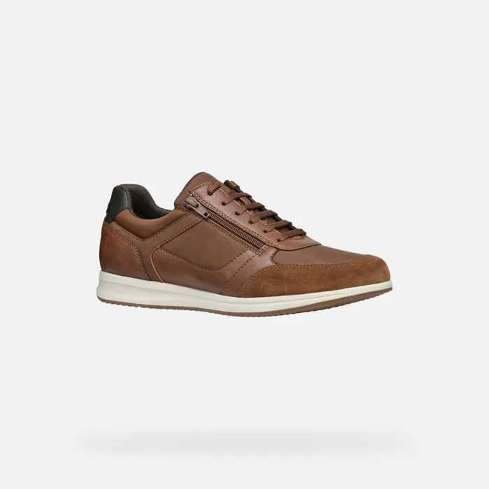 Geox Sneakers AVERY MAN Brown Cotto Low Top Sneakers Brown Cotto 8211 Man
