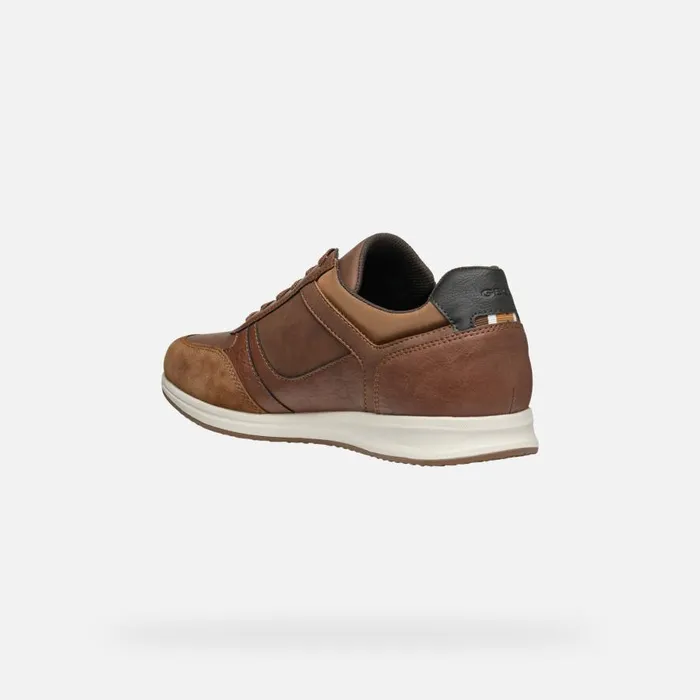 Geox Sneakers AVERY MAN Brown Cotto Low Top Sneakers Brown Cotto 8211 Man