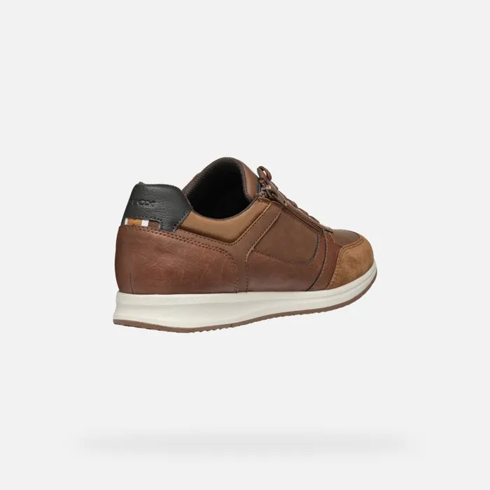 Geox Sneakers AVERY MAN Brown Cotto Low Top Sneakers Brown Cotto 8211 Man