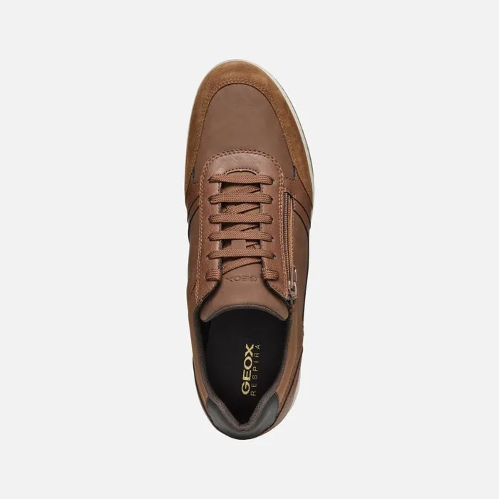 Geox Sneakers AVERY MAN Brown Cotto Low Top Sneakers Brown Cotto 8211 Man