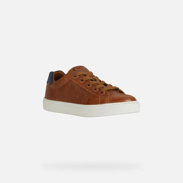 Geox Sneakers NASHIK Kids039s Cognac Low Top Sneakers Geox Cognacnavy 8211 Kids