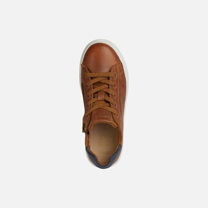 Geox Sneakers NASHIK Kids039s Cognac Low Top Sneakers Geox Cognacnavy 8211 Kids