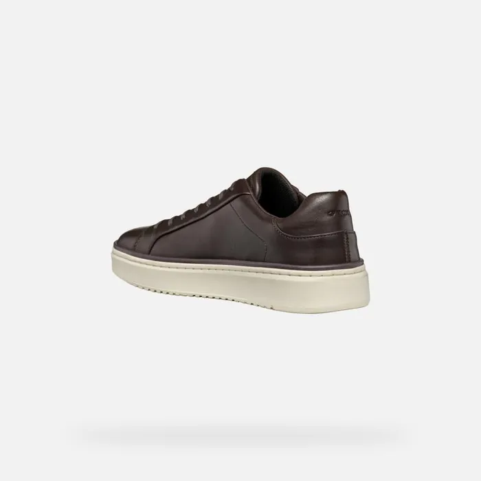 Geox Sneakers ZACKERTY MAN Coffee Low Top Sneakers Coffee 8211 Man