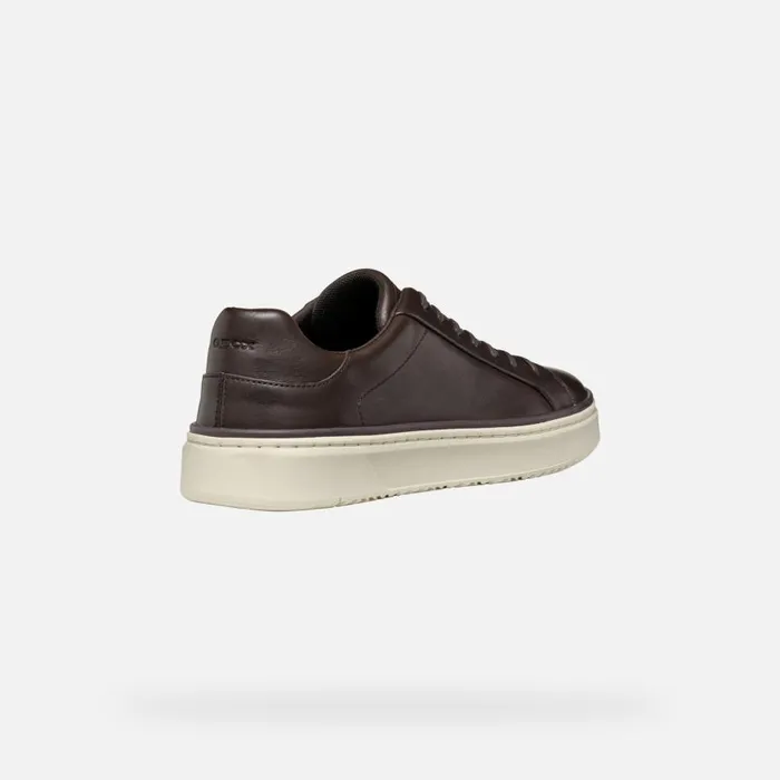 Geox Sneakers ZACKERTY MAN Coffee Low Top Sneakers Coffee 8211 Man