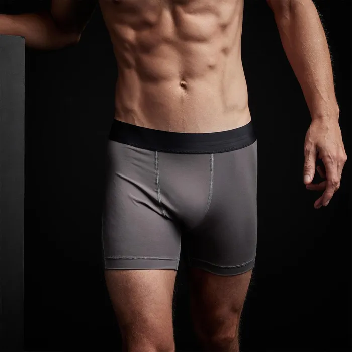 James Perse Performance Bottoms Cool Touch Sport Boxer Short Raccoon Grey 8211 Men