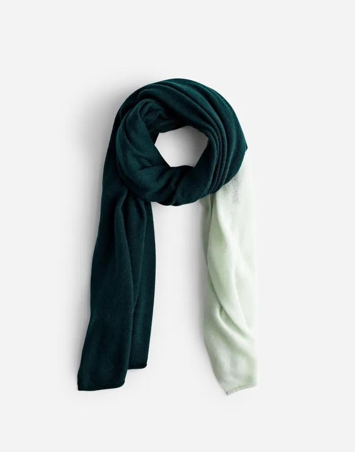 Madewell Colorblock Cashmere Scarf Hthr Luxury Forest Women Scarves
