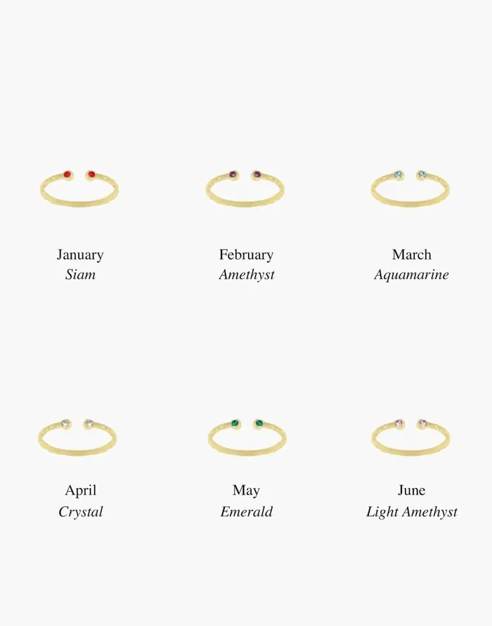 Madewell Katie Dean Jewelry 18k GoldPlated Birthstone Ring February Women Jewelry