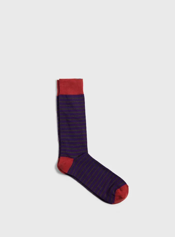 Men Paul Stuart Socks Cotton Stiped Sock Purpleolive