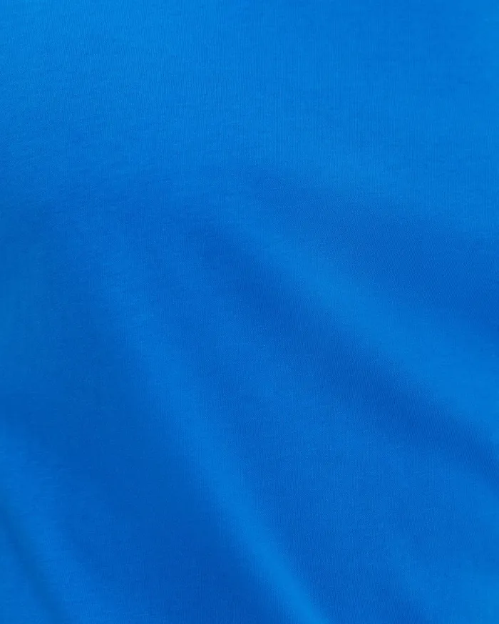 Men Sportscraft TShirts and Polos Supersoft Tee Cobalt
