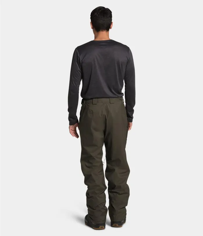 Mens Freedom Pants New Taupe The North Face Pants
