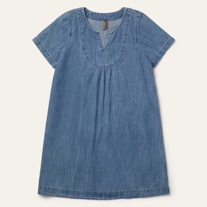 Mini Women Stetson Denim Swing Dress Blue