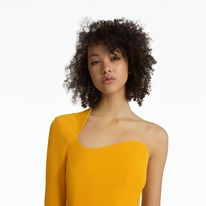 Safiyaa Qwenda Ochre Midi Dress Women Dresses