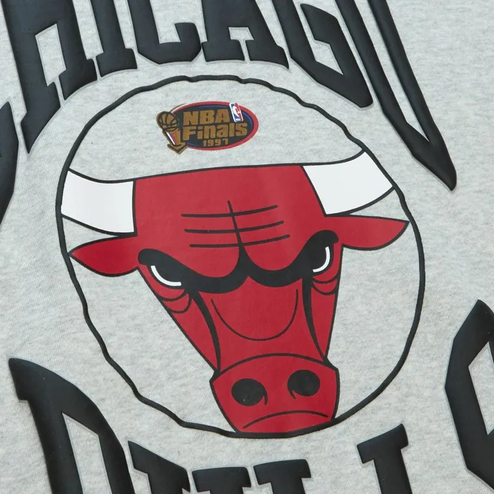 Women039s Hoodies and Sweatshirts Mitchell and Ness Women039s Logo LT Crew 30 Chicago Bulls Women039s Hoodies and Sweatshirts Mitchell and Ness Women039s Logo LT Crew 30 Chicago Bulls