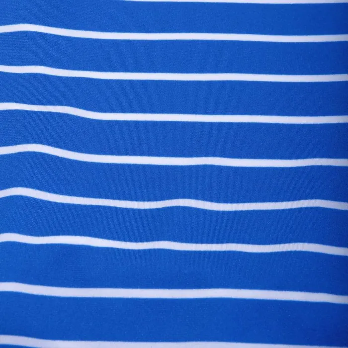 Women Swimming Costumes Speedo Women039s Endurance Printed Medalist Swimsuit BlueWhite Women Swimming Costumes Speedo Women039s Endurance Printed Medalist Swimsuit BlueWhite